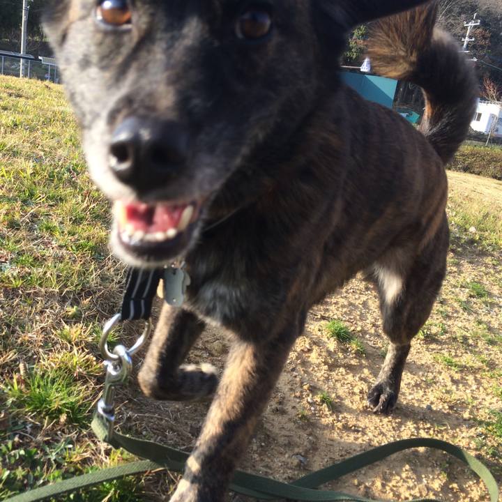 6d3b0208 5a17 4919 b0cd 4b17a669e13a