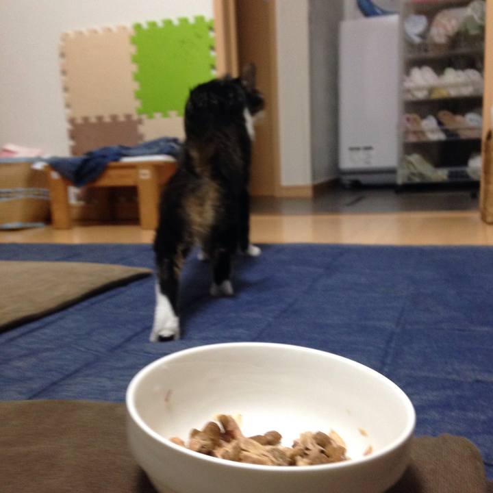 6d3b3546 ad3f 480e 8f57 3d8d7f8e66bb