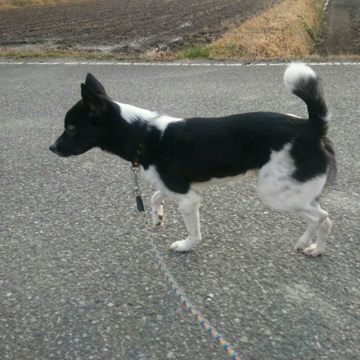 6d3b6557 2efe 4e7c ab39 b69ebccb4def