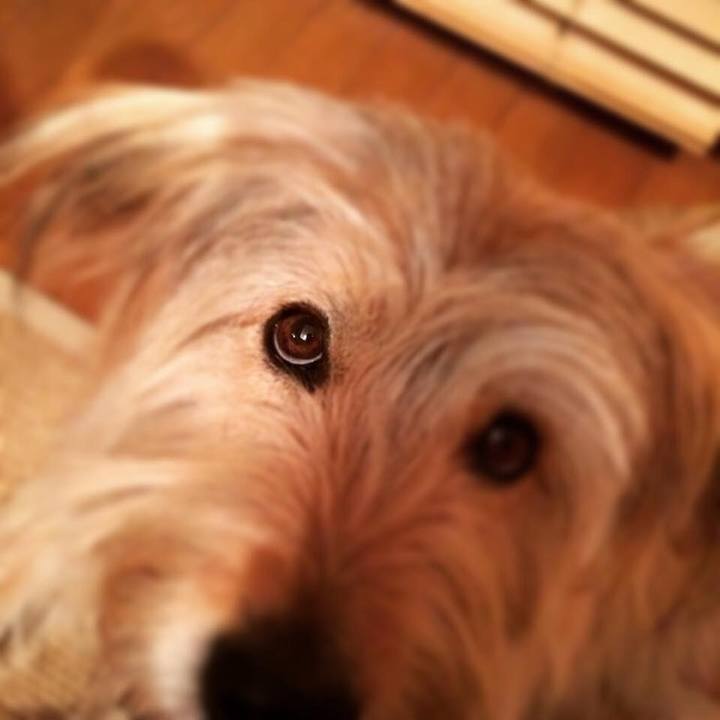 6d3c1c36 1bb2 4201 9255 437cb3c67136