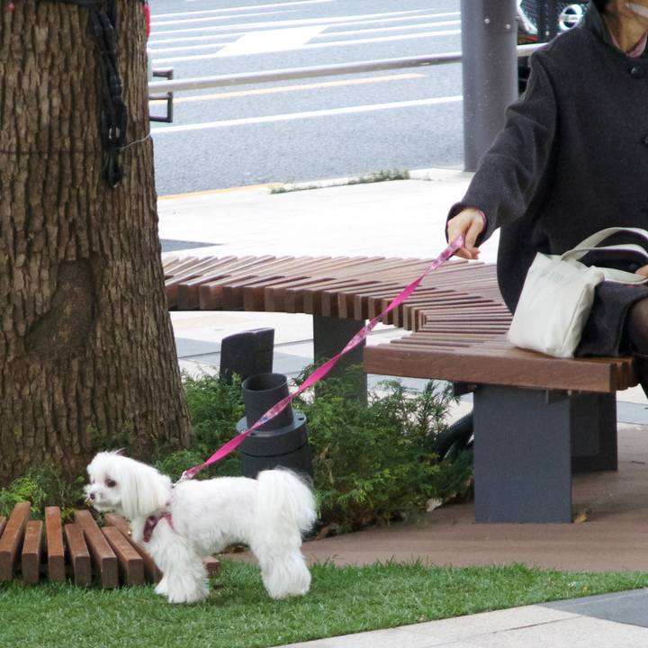 6d3ca916 69f5 4a14 bc1b bd46c8e4c9df