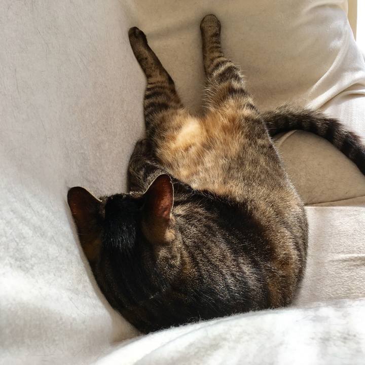 6d3d6033 4c80 4a48 8358 1e32e02c5c38