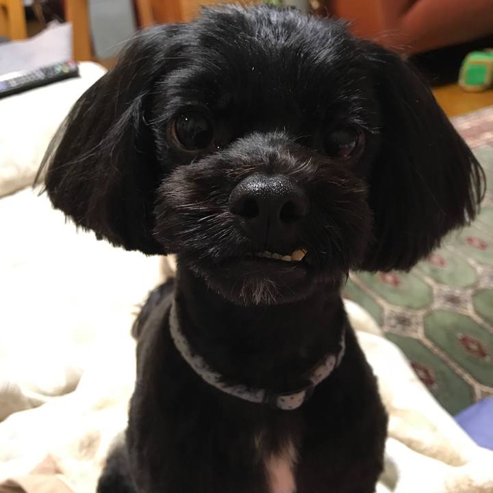 6d3d7546 f707 4cc9 89f7 4b235ffbc60e