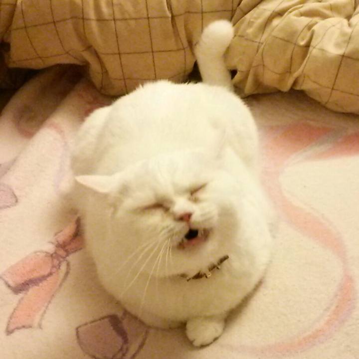 6d3dd25e 4be2 477c b20b 117ba6662ce4