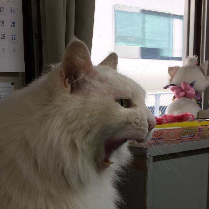 6d3e1152 4c22 4102 89da 9116358ec798