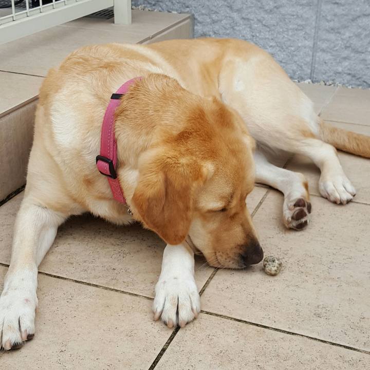 6d3ecf71 d4e1 40dc 8dec 1369bb38614f