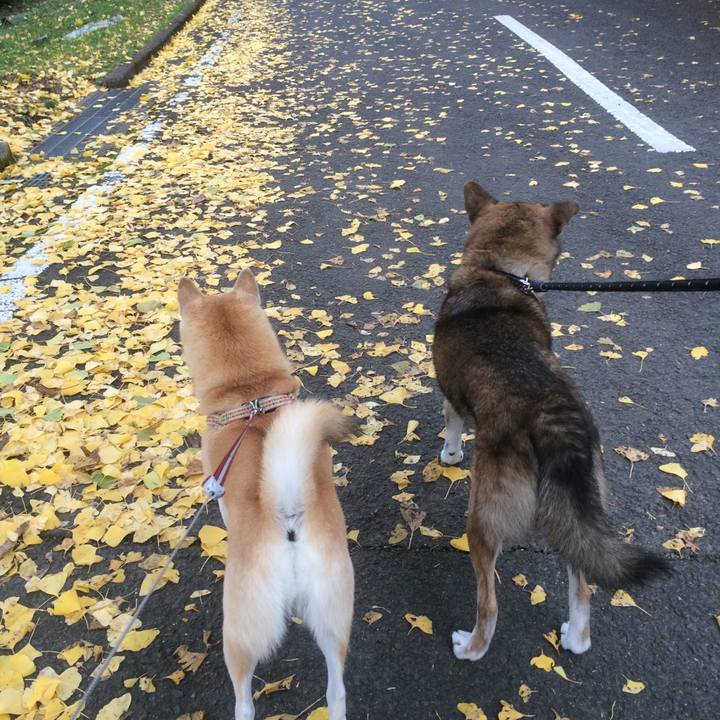 6d3f2d5d a53c 406c 9010 5c7eaa915677