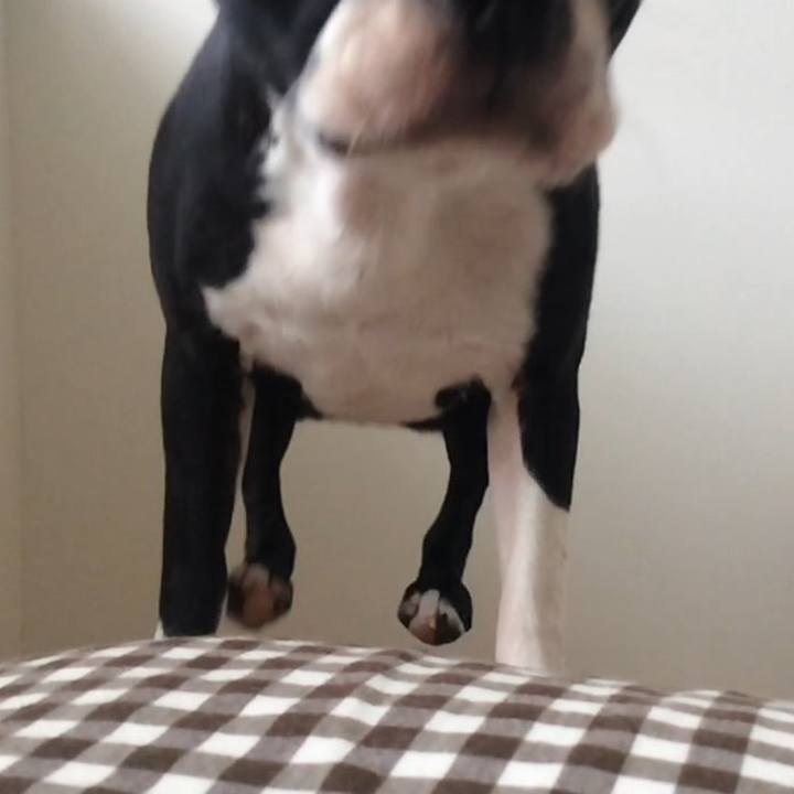 6d3f3136 2f0a 4146 b9d2 abd3eac92eb3