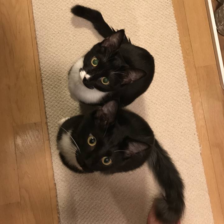 6d3f50ba 996f 4868 8540 52239c8dfd48