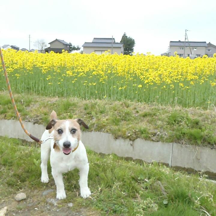 6d3fa70e 0cf6 498d 8eae 87b920de272c