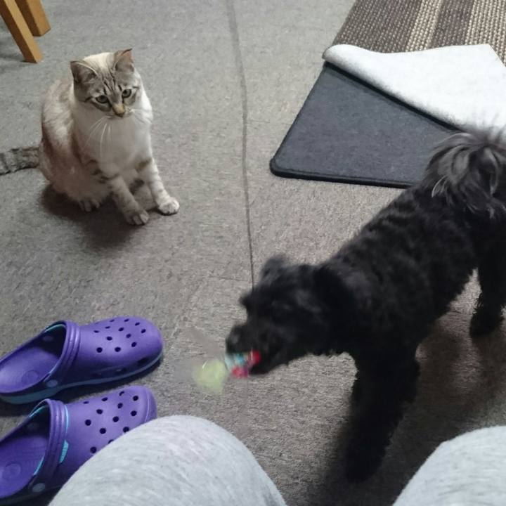 6d3ff5cc 2b35 45be a91f 82f2a713b5dc