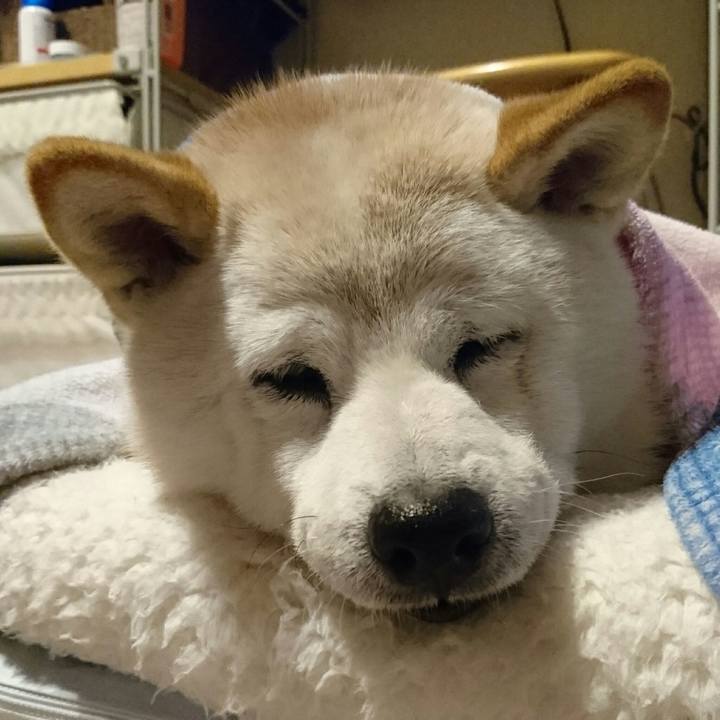 6d404161 e214 4ce6 8b9e a02171d9a31c