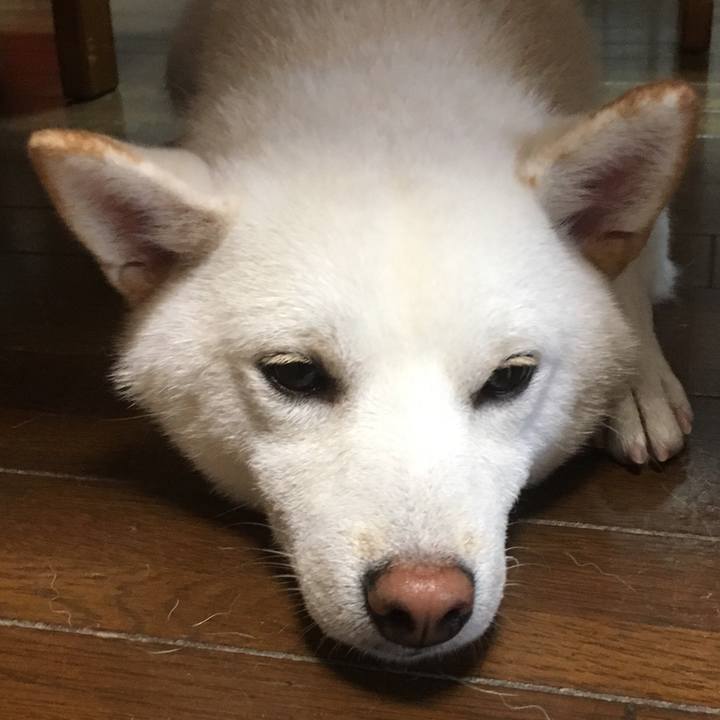 6d41045b bfee 4e0b a641 dd172651a967