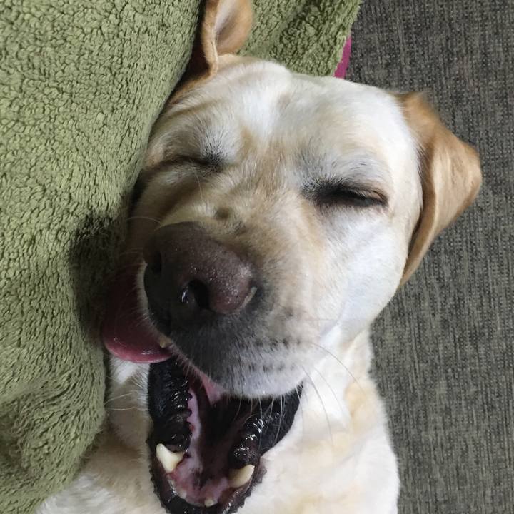 6d410b2d 6487 4876 8767 7704e9b54787