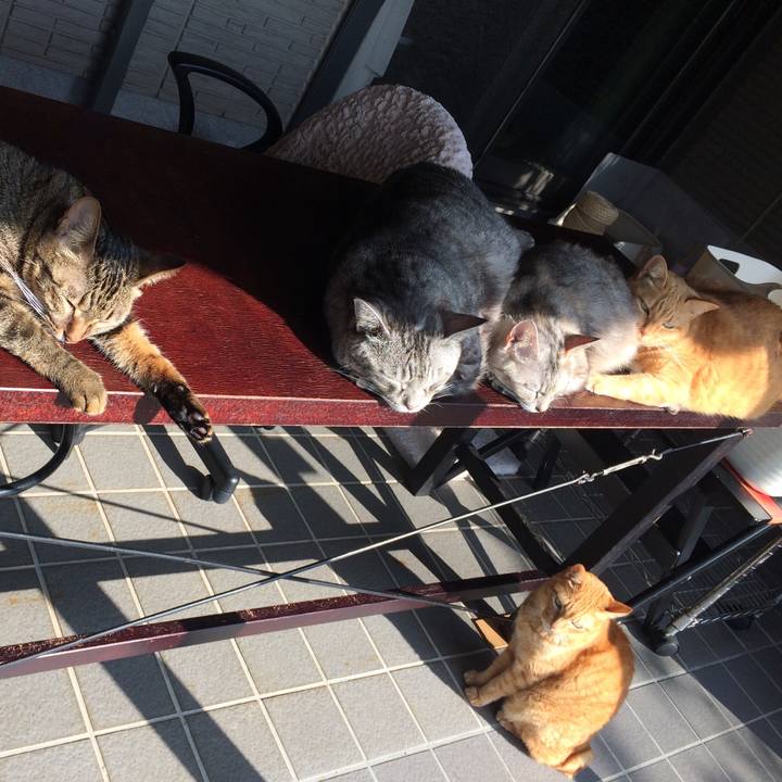 6d41465a 2403 4435 8490 be3697a5cd23