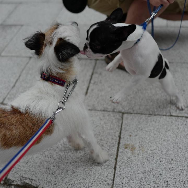 6d41904f 3e5e 4c26 8c1d 3964311ed0ca