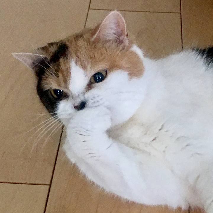 6d42176d d700 4c86 b68e 78806aa59d19