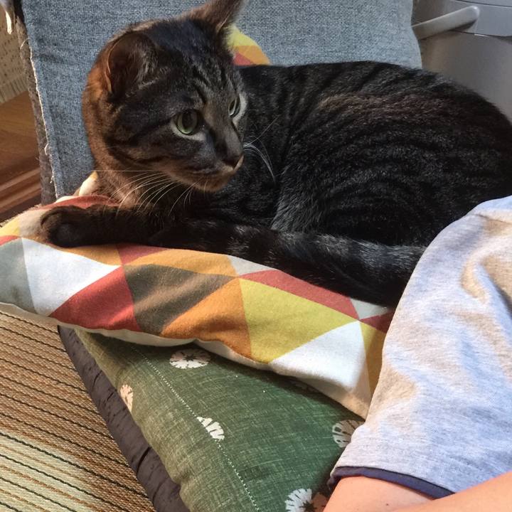 6d422f84 1757 4b16 bbcb 1ff268106326