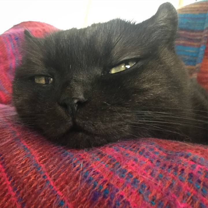 6d426b95 ee97 480f a604 5a13a76b22e8