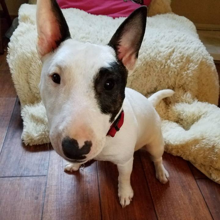 6d42b906 f508 4720 a257 c9fae4c0a143