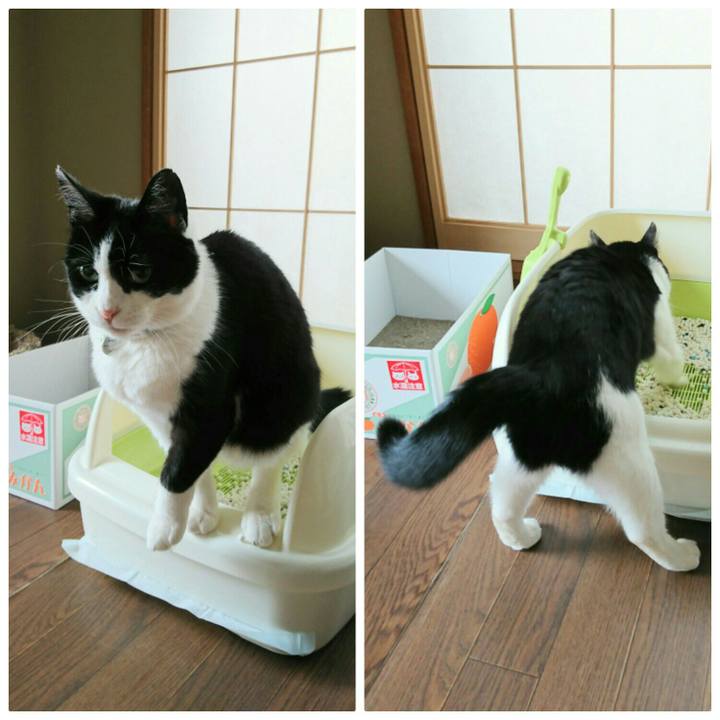 6d42f4ea cbbd 4e34 8fdf 873b5b7baef3