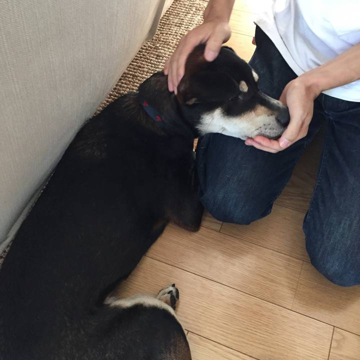 6d42f540 0188 4f19 b208 ac6fe256ece0