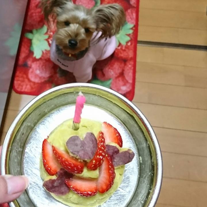 6d431012 f5b7 4259 b587 00bc449a1049