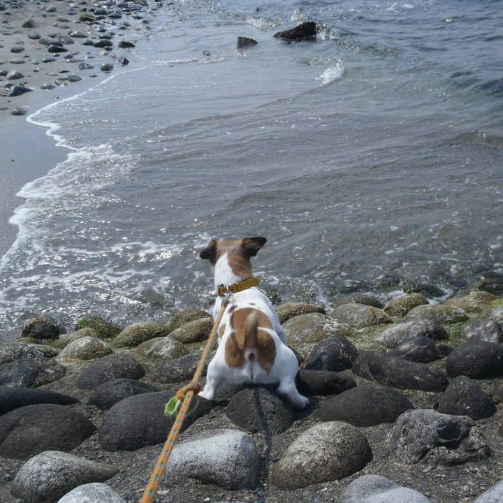 6d43605b f624 4e09 9d72 d8b4f6fd6ee5