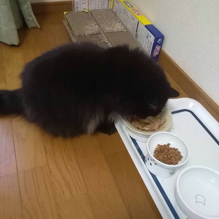 6d43c118 1cd9 4f02 8a91 75f543ed516a