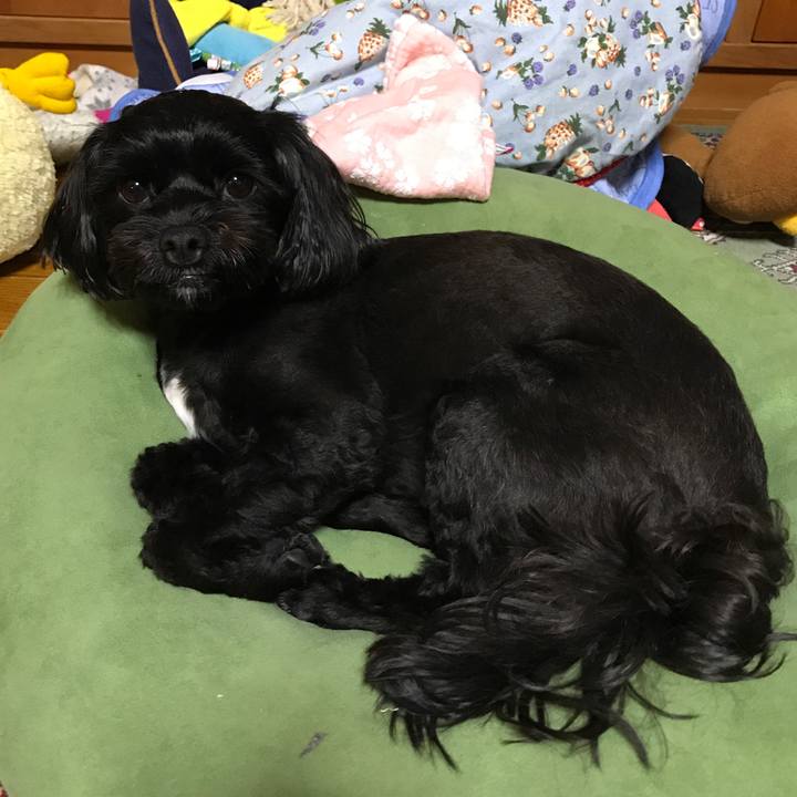 6d43d38d a4fb 48de 8bad 6a1a31c8f87b