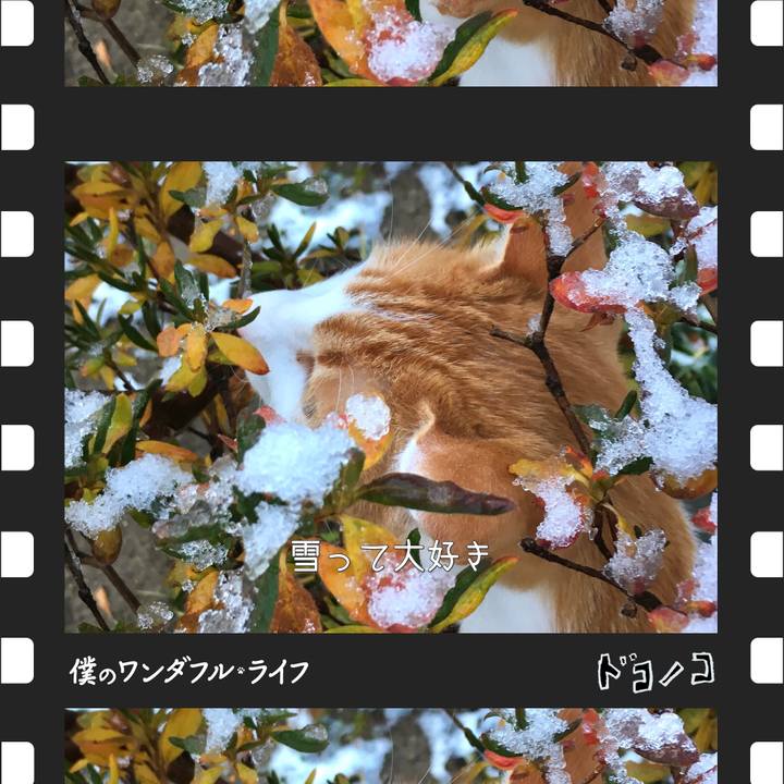 6d4403a6 0202 4200 ab3e 91c10dbe7110