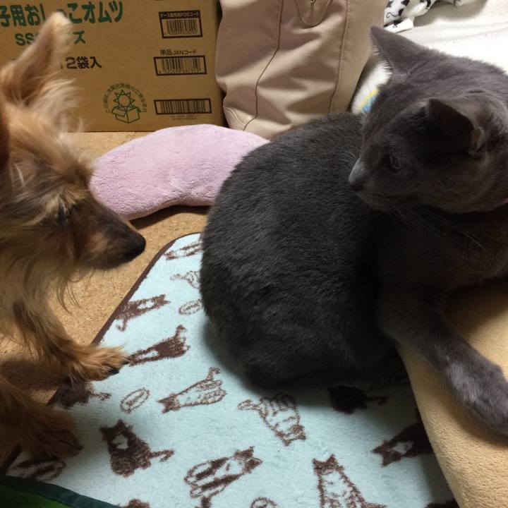 6d44e30a e589 4bec 9c30 dae43a5f0d12