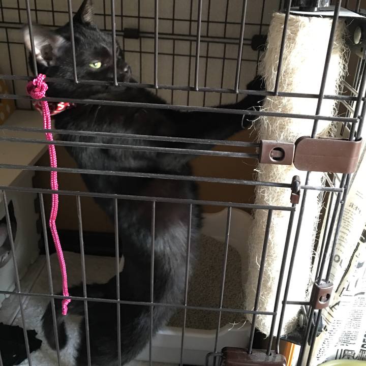 6d45088d 56b8 43c8 8438 583475dba774