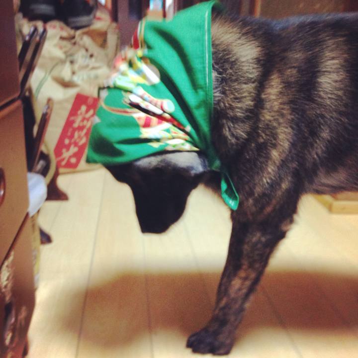 6d452c9e 16af 46a0 90f3 d975eef872ee