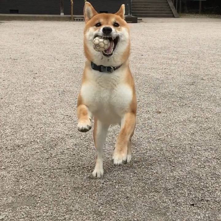 6d456957 5a28 4f0a 85ff 367d7b84dbbb