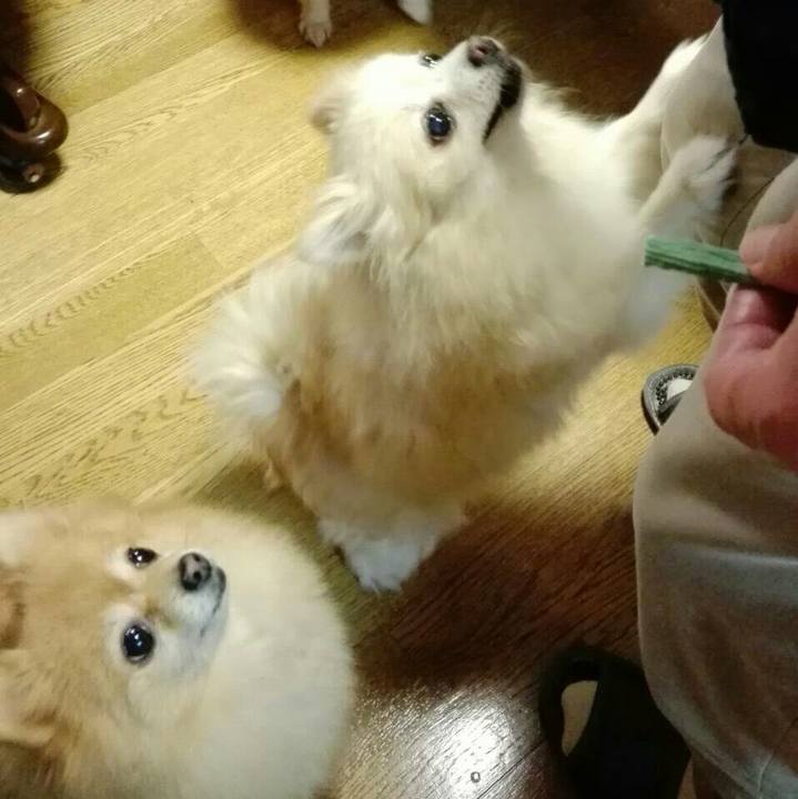 6d46023a ec21 473d a5a6 c17df65721ae