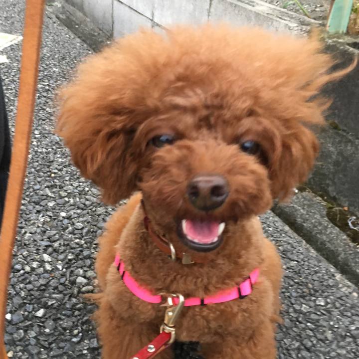 6d464610 91a4 4b40 b149 14c0398d9bc2