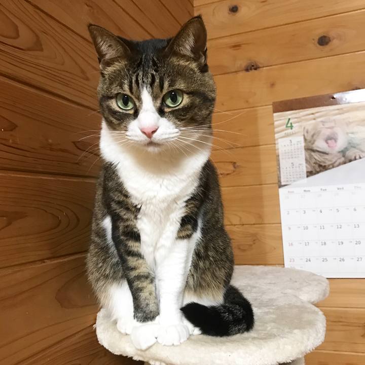 6d46479f 298f 47ef 9da4 365479fc200e