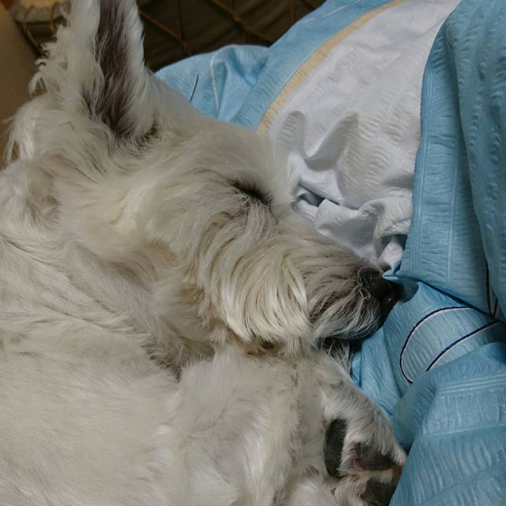 6d46b28d a22f 453a 9968 a23f18d246fa