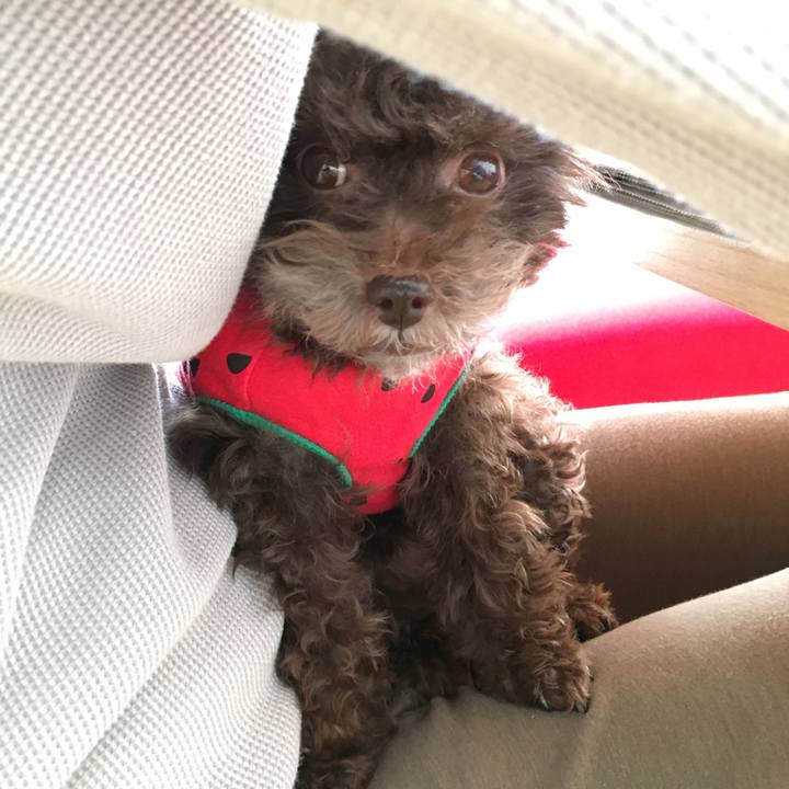 6d471382 f0e8 4cc8 8cb8 0b1d6251f4d2