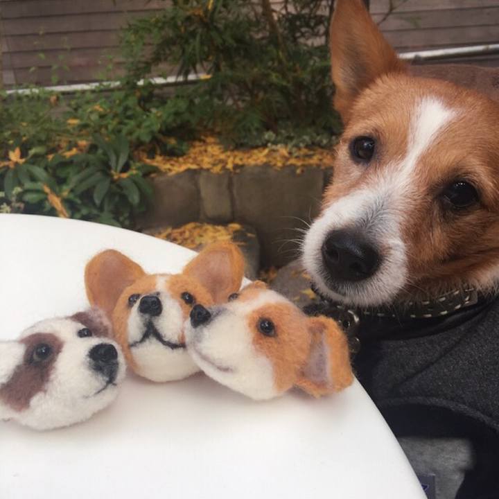 6d471e94 06d1 4007 80e0 dfeac2f890c5