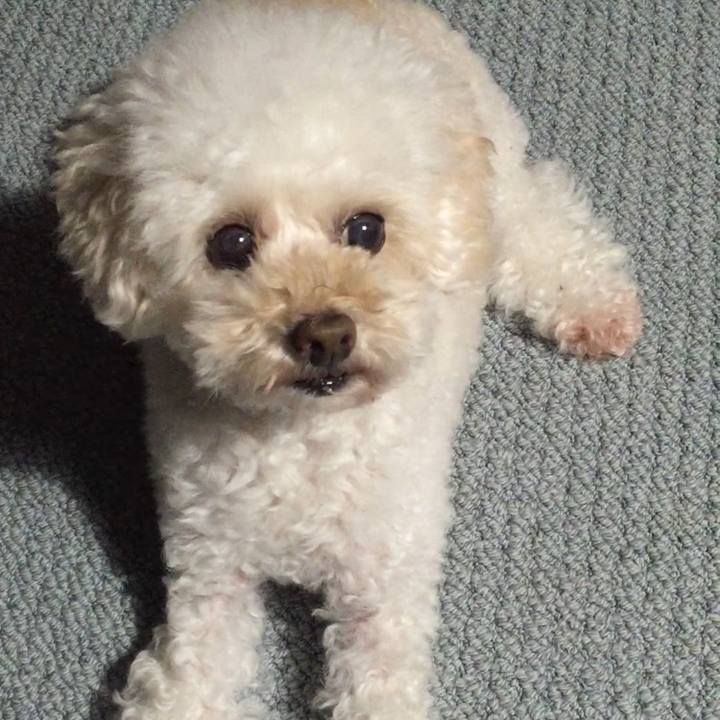 6d476449 1096 4665 b1d5 9b26ae200f8f