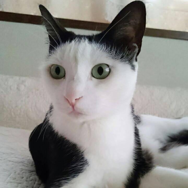 6d4775e0 b3bb 4eb4 8763 af0954fbc17e