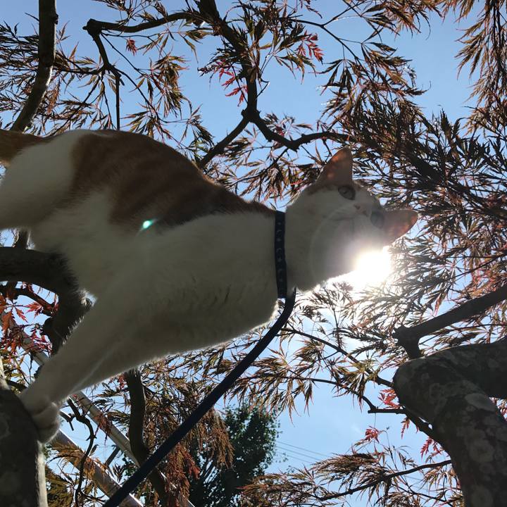 6d47850c 714b 4dd3 9bef 6bf6fcd86764