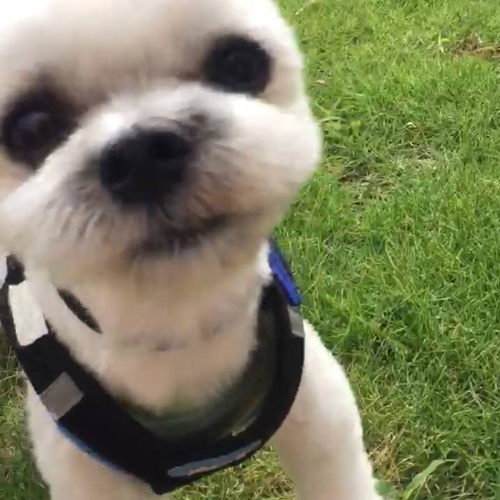 6d478bd5 89ef 4af5 b9b0 3c514590eebd