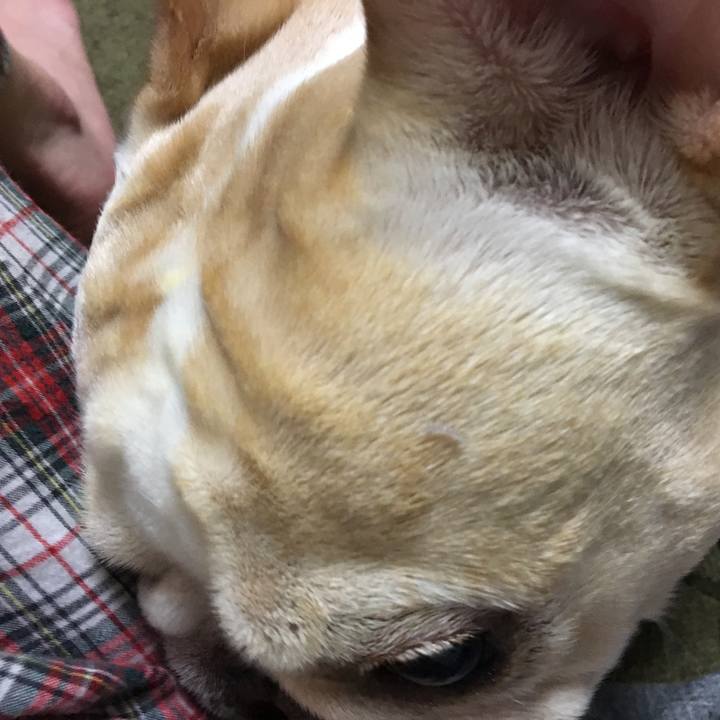 6d481bcb 2ecc 4c55 8483 ba221c84d3f8