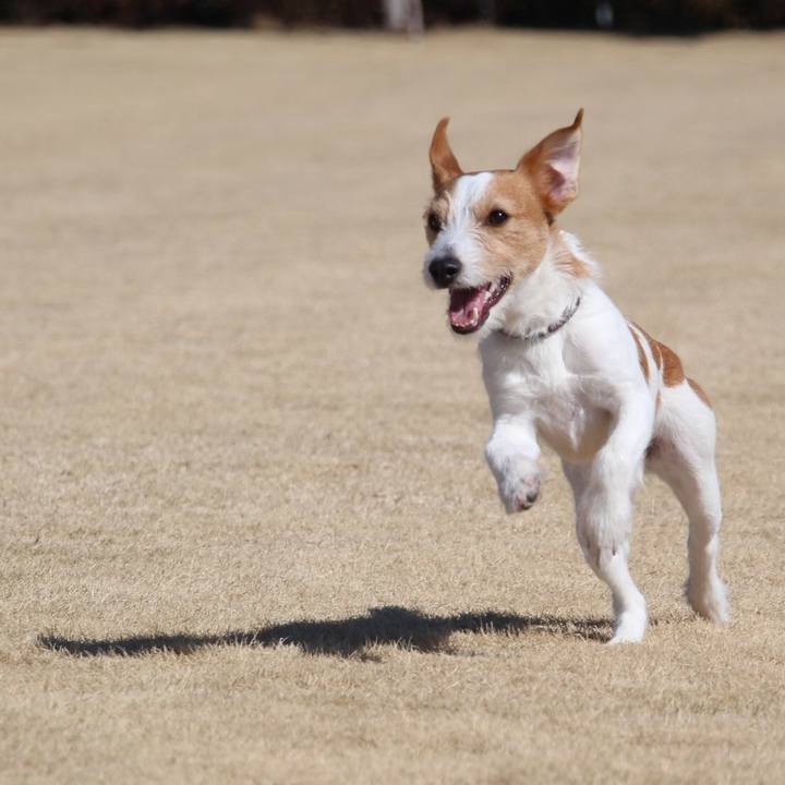 6d482c71 832c 4e07 8763 ca91a551fc70