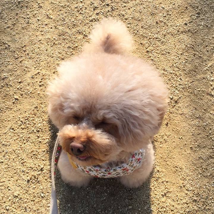 6d4a0d1c f014 440a b804 96b62ee81099