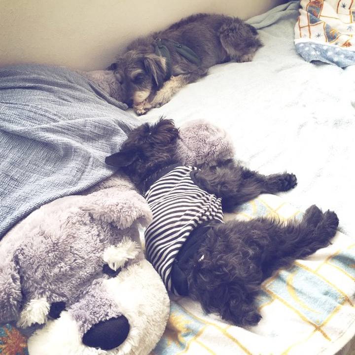 6d4a3653 d25f 47fd b0fd 654ec40d0fb7