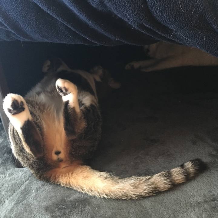 6d4abf0c 1178 4358 b9da bb5994242fb2